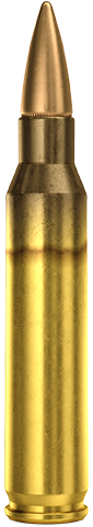 5.56×45mm Ball M193