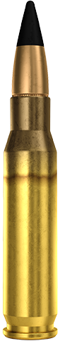 7.62×51mm Armor Piercing