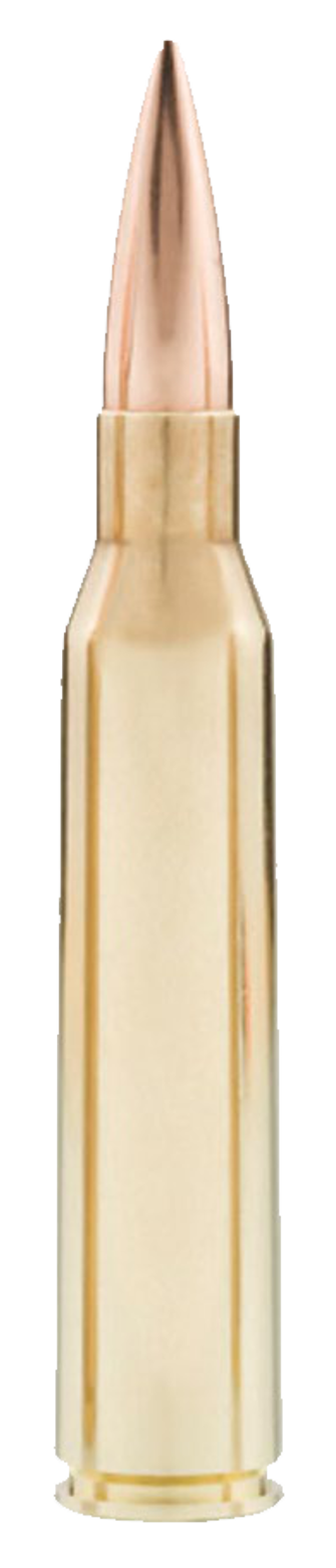 .338 Lapua HPBT 300 GR