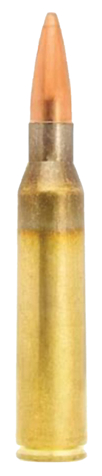.338 Lapua Match 250 GR
