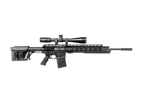 T72 DMR/ASSAULT RIFLE