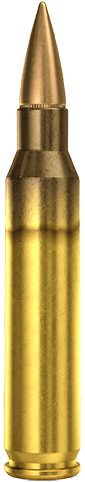 5.56×45mm NATO Ball SS109