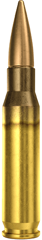 7.62×51mm NATO Match
