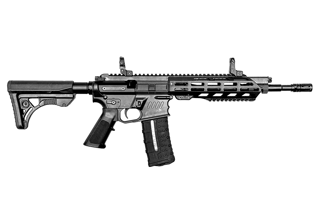 SSS DEFENCE M72 assault rifle