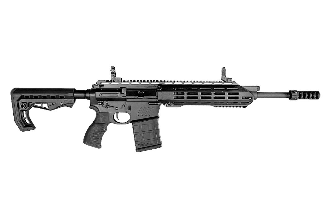 SSS DEFENCE T72 AR assault rifle
